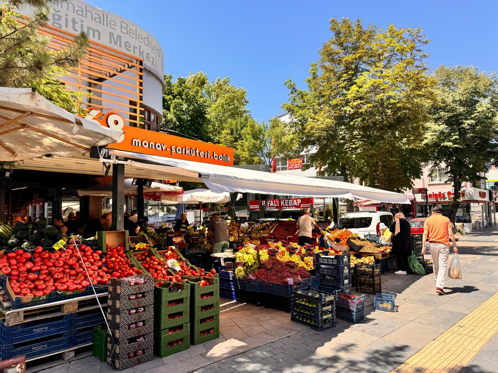 Güneslik Mafsalı Kartal Tente