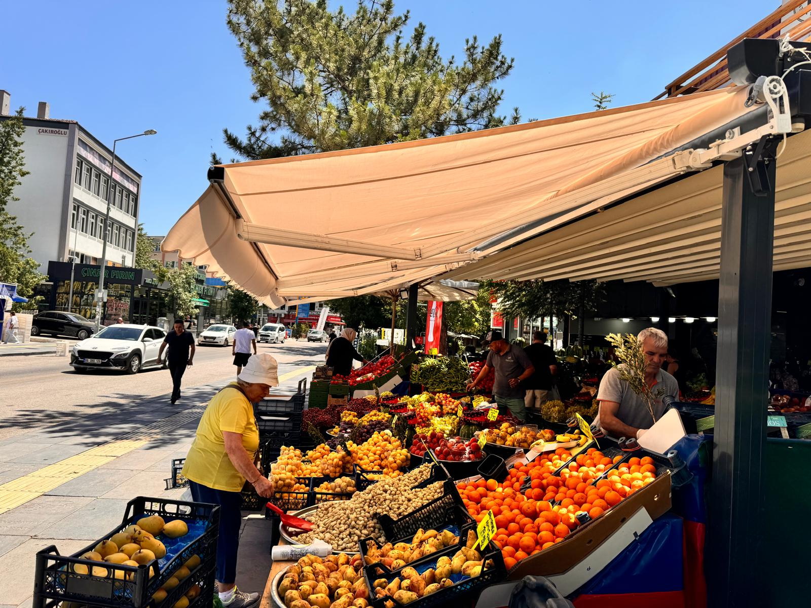 Güneslik Mafsalı Kartal Tente