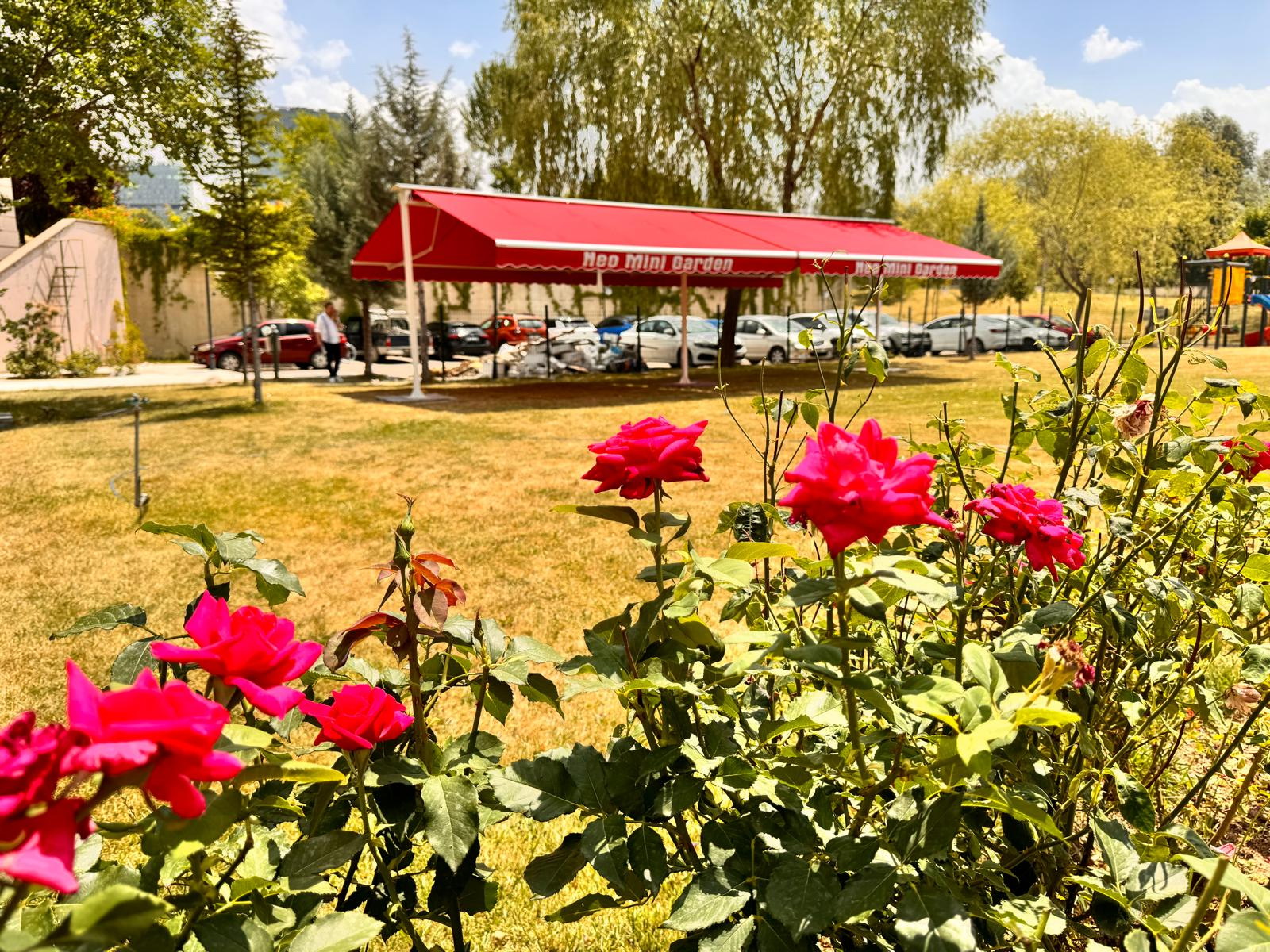 Güneslik Mafsalı Kartal Tente